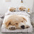 Housse De Couette Chiot Labrador Endormi