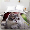 Housse de Couette Chat Mignon